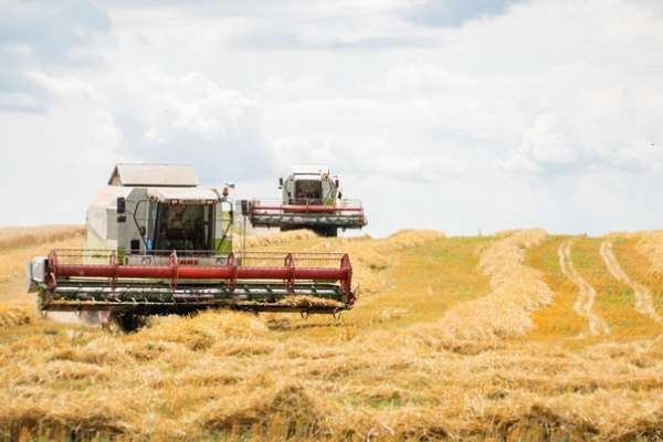 Read more about the article Оценка экономической эффективности применения новых органомикроэлементных комплексов в звене зернотравяного севооборота