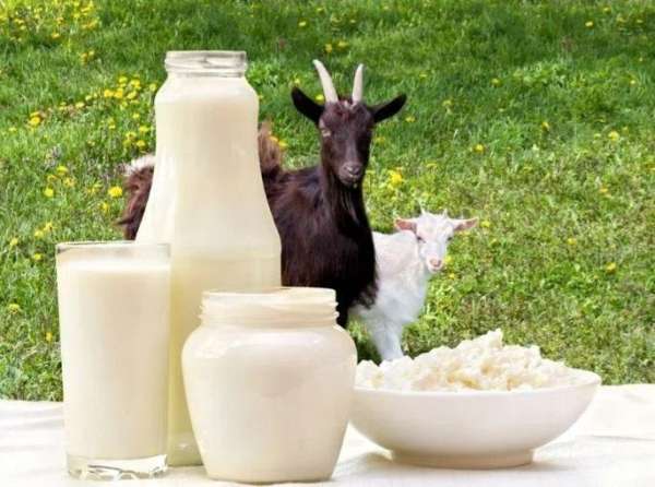 Повышение пищевой ценности и функциональных свойств, оптимизация рецептуры десерта на основе творожной пасты из козьего молока с добавлением талкана и инулина