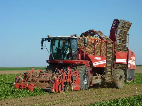 Read more about the article Методика и результаты лабораторно-полевых исследований сепарирующей системы машины для уборки сахарной свеклы